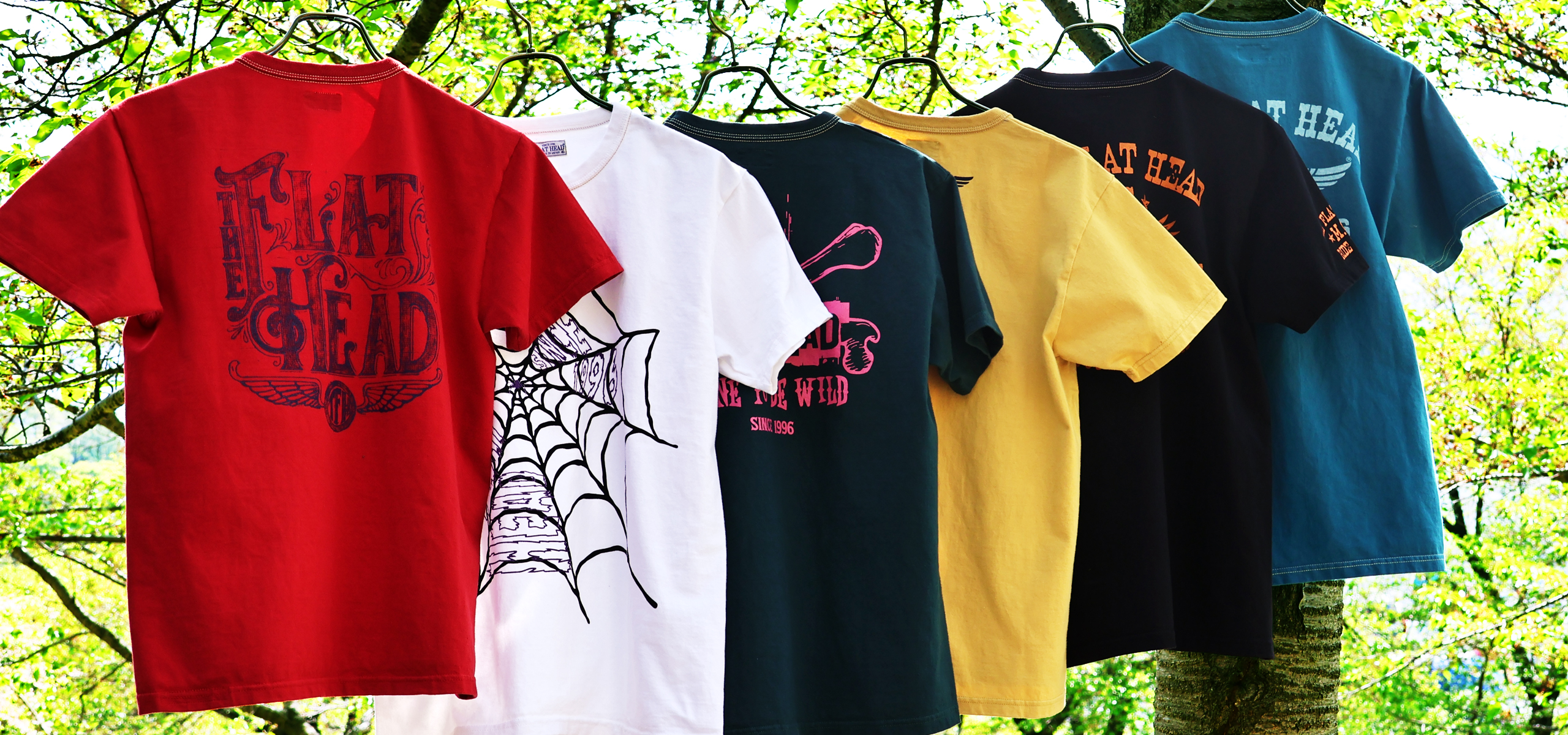 THC SERIES COLLECTION
