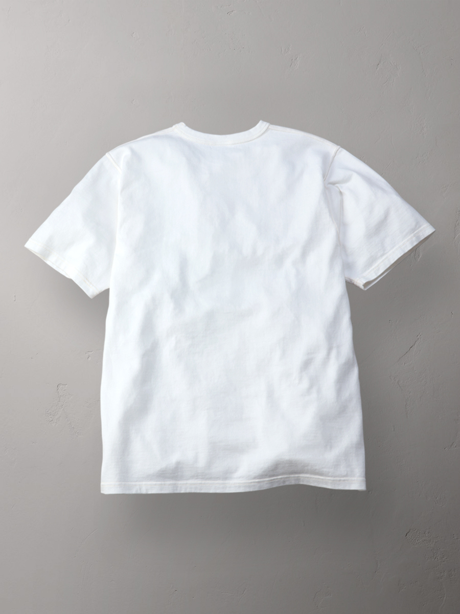 吊り生地 双糸 Tシャツ FN-TMC-104