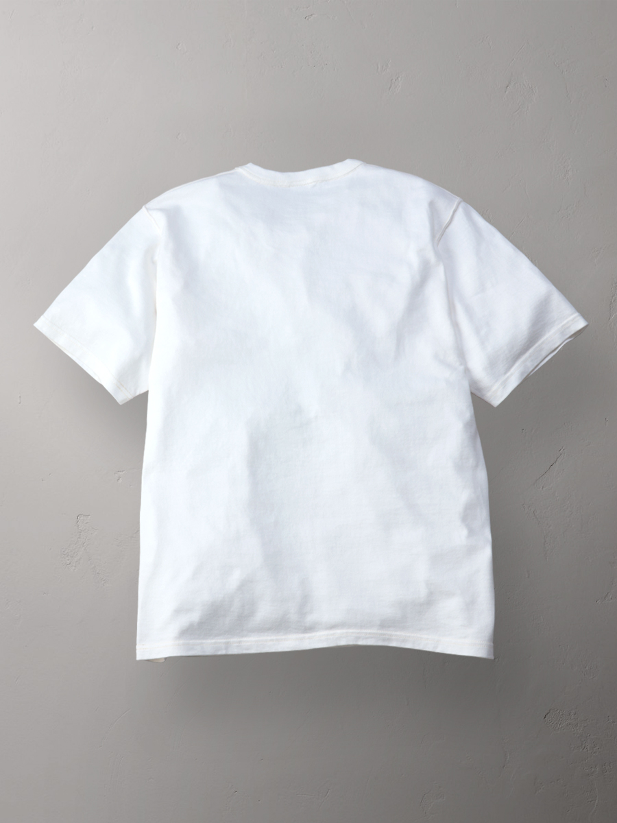 吊り生地 双糸 Tシャツ FN-TMC-105